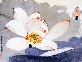 荷花-沒骨粉蓮