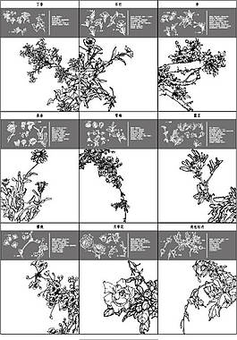花紋構(gòu)造解析矢量素材