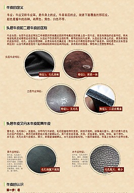 牛皮知識