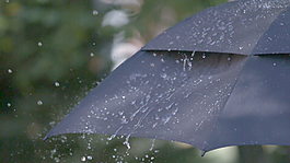 慢動作的雨傘股票視頻 視頻免費下載