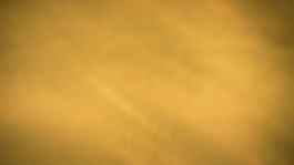 液體黃金的運(yùn)動(dòng)背景下池 視頻免費(fèi)下載