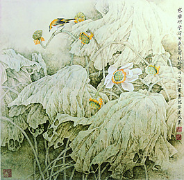 荷花 睡蓮 蓮花