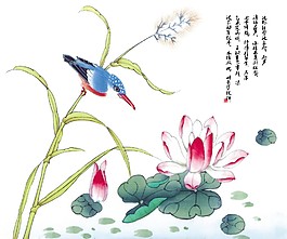 荷花 水鳥 工筆 國畫