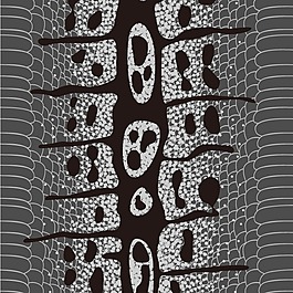 矢量圖 時(shí)裝 休閑風(fēng) 免費(fèi)素材