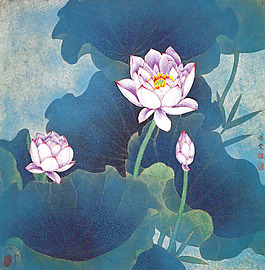 荷花 睡蓮 國畫