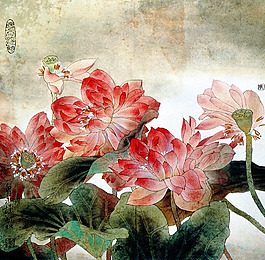 睡蓮 荷花 國畫