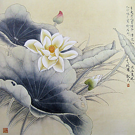 荷花 睡蓮 國畫