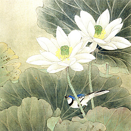 荷花 工筆畫 寫意 國畫