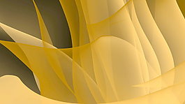 大花旋透明背景運(yùn)動(dòng) 視頻免費(fèi)下載