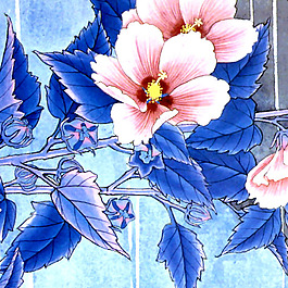 位圖 時裝 花卉 免費素材