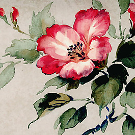位圖 田園風(fēng) 花卉 免費(fèi)素材