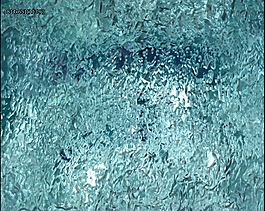 水流水花