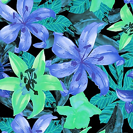 位圖 植物花卉 免費素材