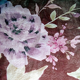 田園風(fēng)格 位圖 免費(fèi)素材