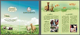 羊駝 折頁(yè)