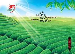 茶展板海報