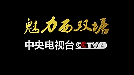 魅力城市落幅文字動(dòng)畫