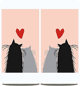 猫咪