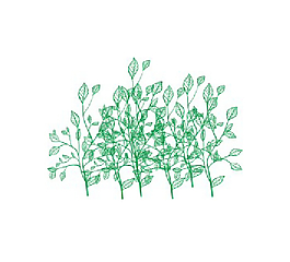 草兒