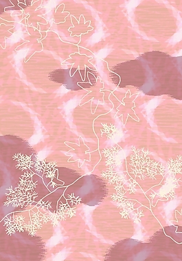 花 田园风格 免费素材