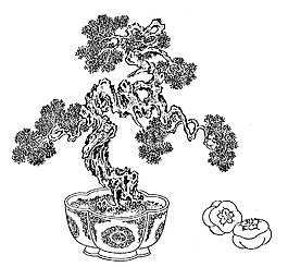 盆栽圖案