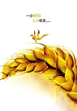 收獲