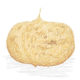 豆薯