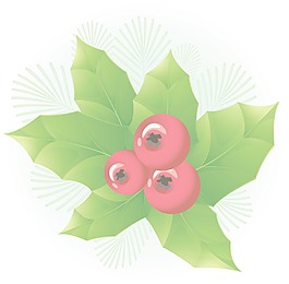 霍莉框架向量