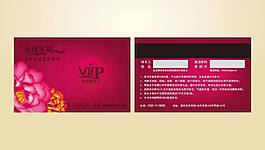 娛樂(lè)VIP卡