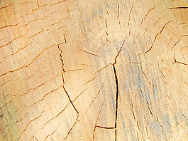 furniture_texture