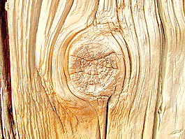 textured_wood