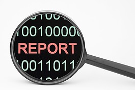 Web報表