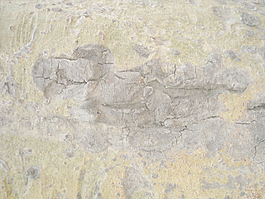 wooden_texture