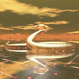 數(shù)字蛇可視化