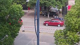 城市道路上車流（綠葉叢視角）