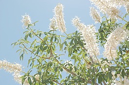 圖200