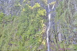 馬德拉群島