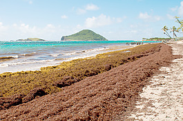 在旧堡废弃的海滩