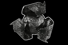 腐蝕的回收標(biāo)志