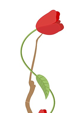 紅玫瑰枝