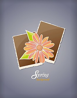 相框花卉背景矢量插畫