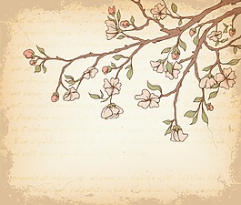 畫(huà)花卉背景矢量插畫(huà)
