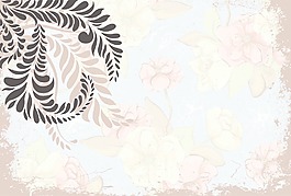 畫(huà)花卉背景矢量插畫(huà)