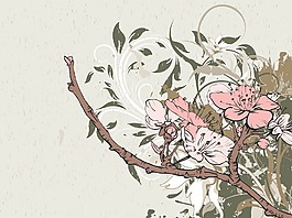 畫(huà)花卉背景矢量插畫(huà)