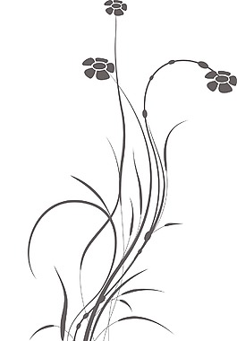 矢量花卉卷