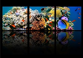 梦幻海底三联画