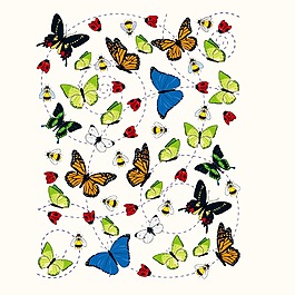 昆蟲插畫矢量
