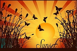 日落蝴蝶向量