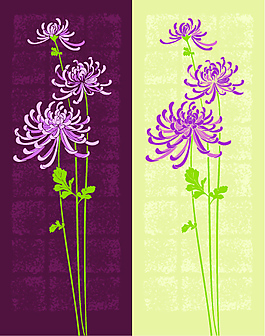 典雅花朵设计