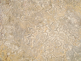 rock_rough_surface